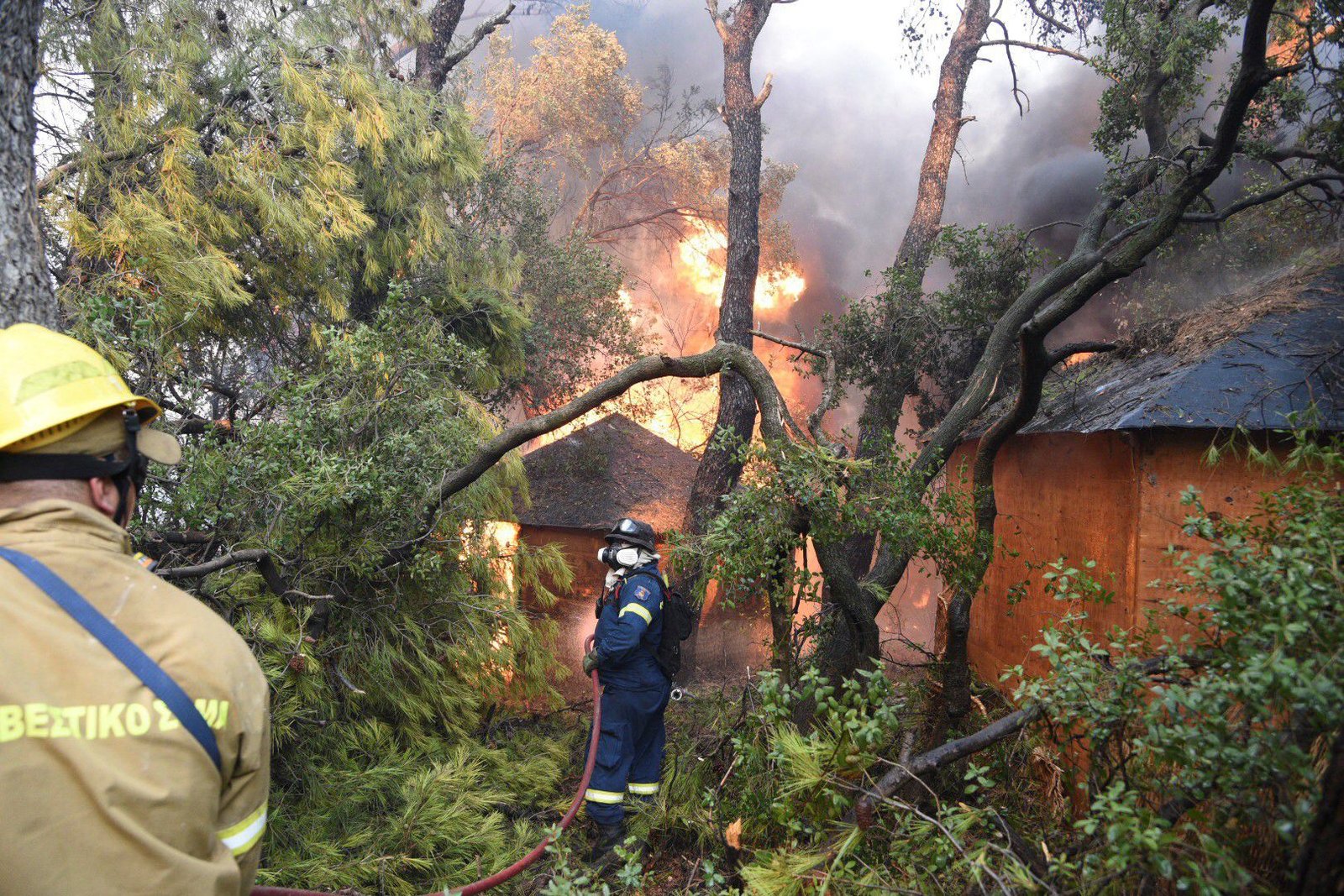 Bomberos trabajan en un incendio cerca de Patras, Grecia. (AP)