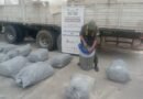 Santiago del Estero: encontraron cerca de 900 kilos de hojas de coca en una carga de azúcar
