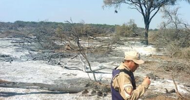 Un detenido por provocar un incendio en un campo